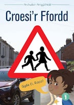 Cyfres Archwilior Amgylchedd: Croesir Ffordd