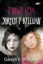 Cyfres y Dderwen: Y Ddwy Lisa - Sgrech y Dylluan